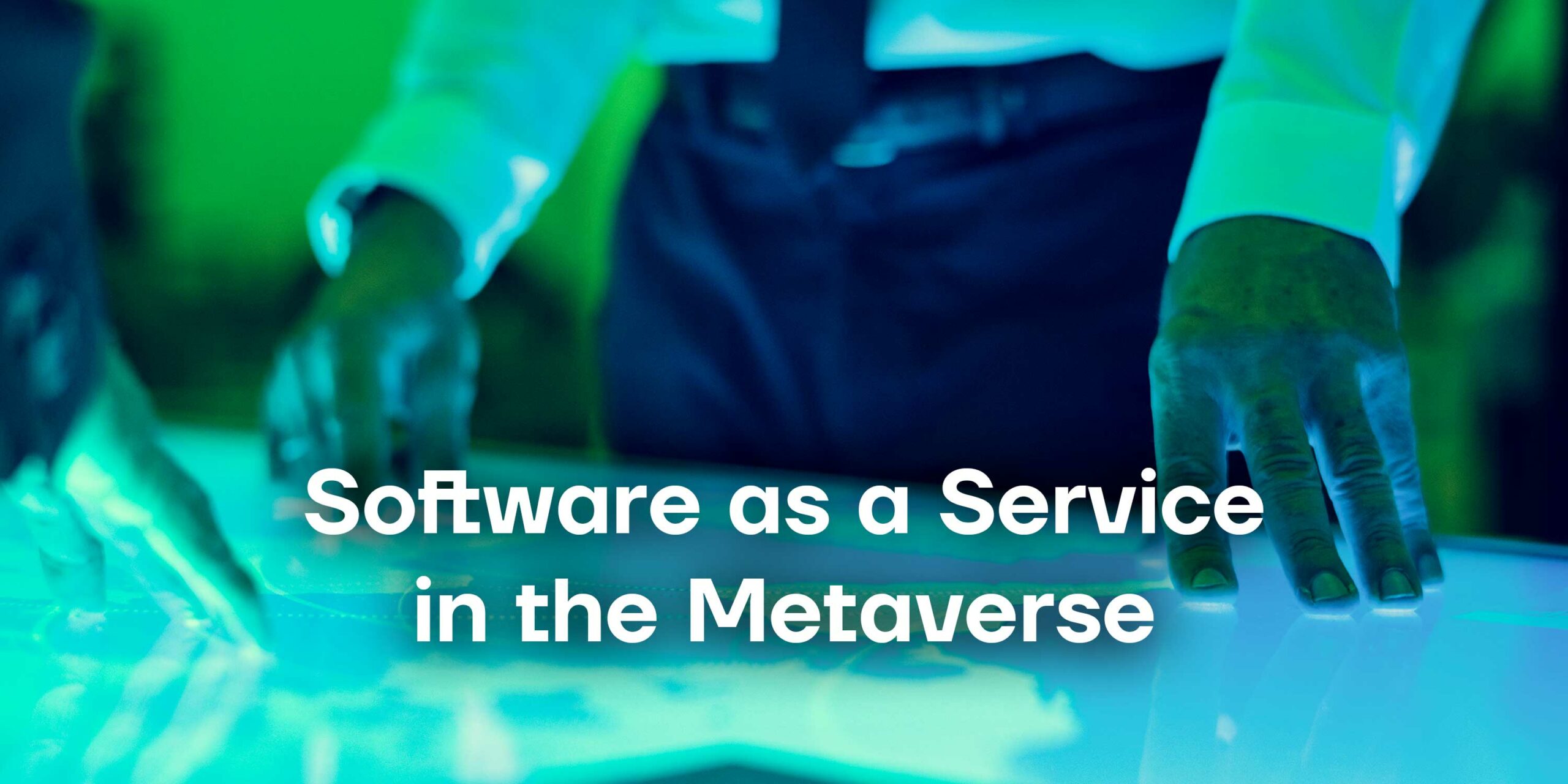 Software in the Metaverse