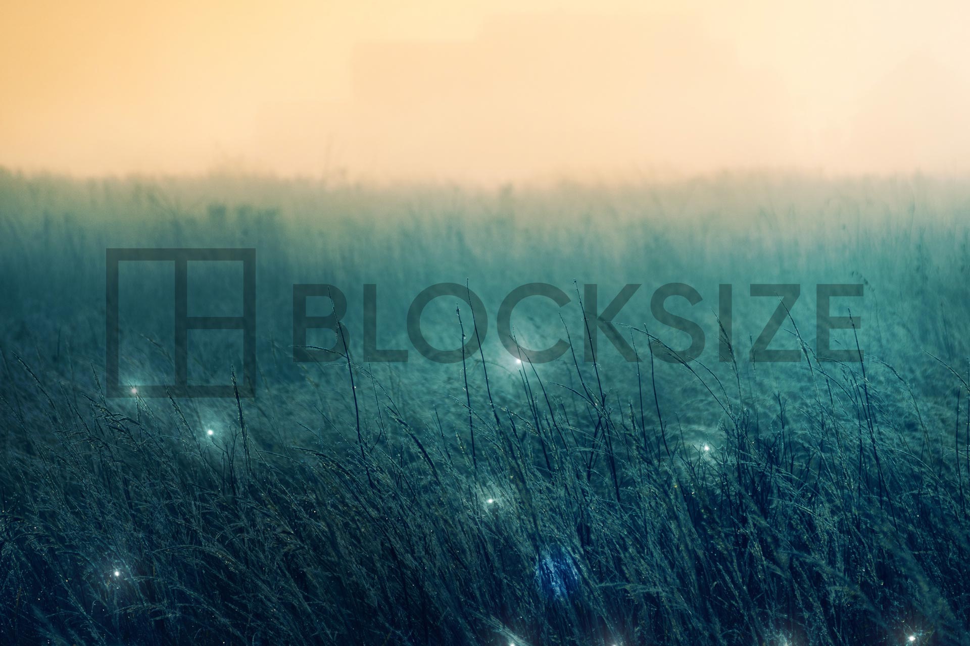 BLOCKSIZE logo transformation