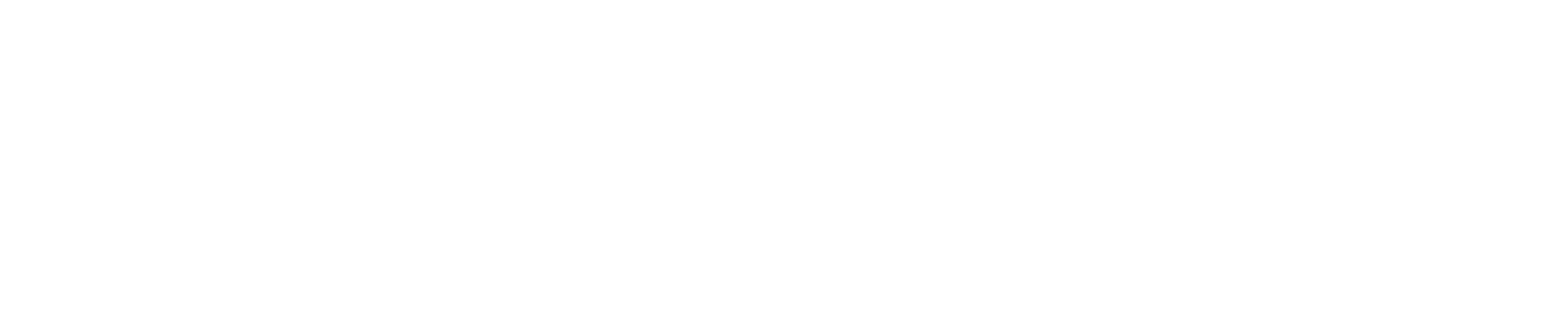 BLOCKSIZE - white logo